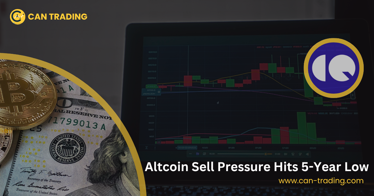 Altcoin Sell Pressure Hits 5-Year Low: Accumulation Signal or More Pain Ahead?