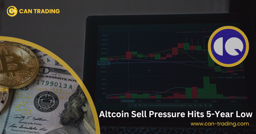 Altcoin Sell Pressure Hits 5-Year Low: Accumulation Signal or More Pain Ahead?